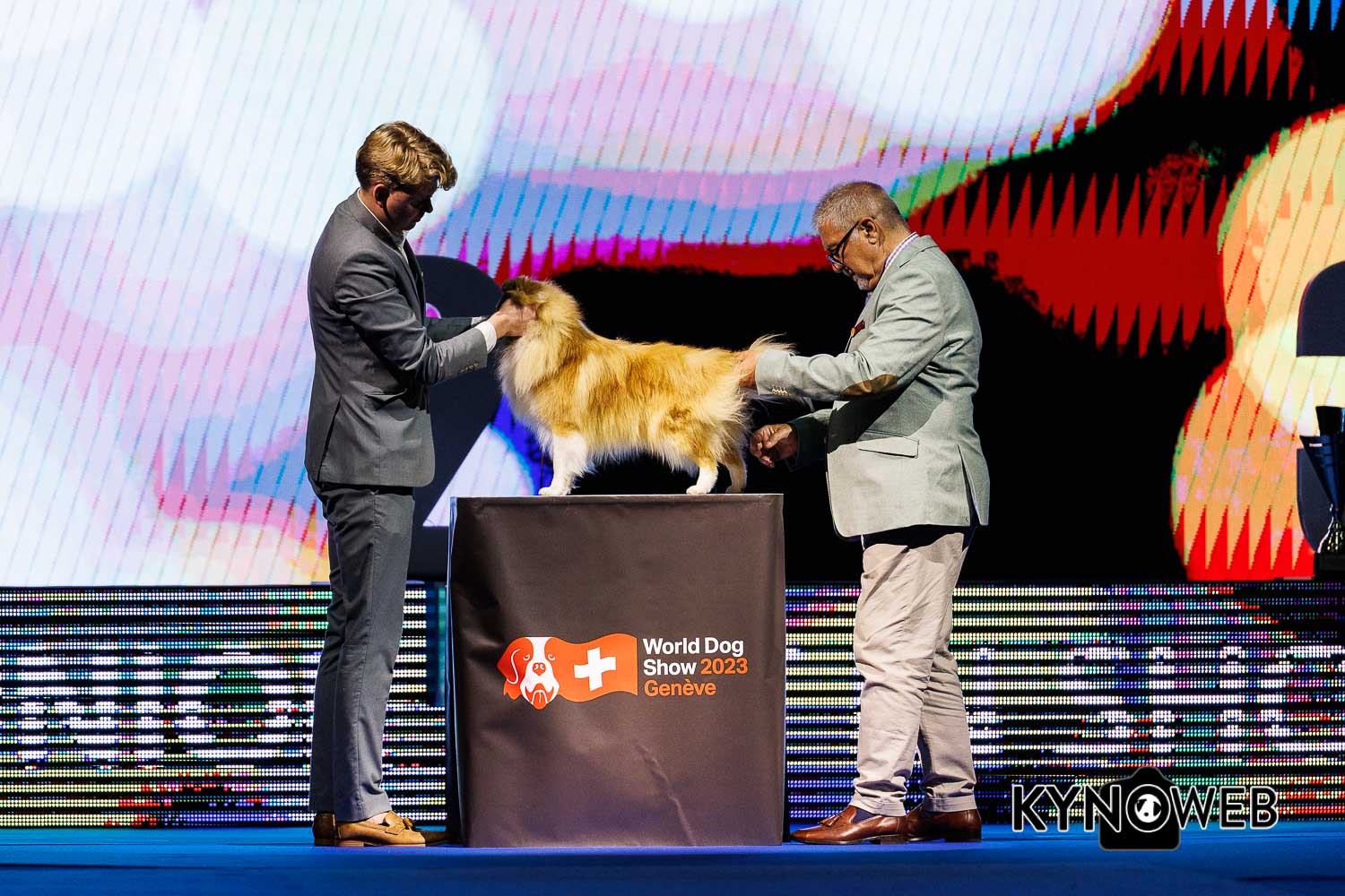 TAURO ZAINO PIEGHEVOLE WORLD DOG SHOW 2023, 20x13x23 cm